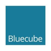 Bluecube Technology Solutions Ltd image 2